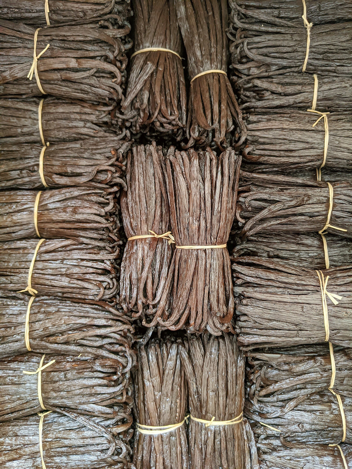 Madagascar Grade B vanilla beans – product photo 5